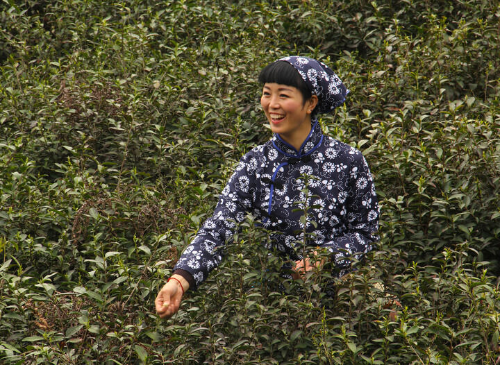排行7